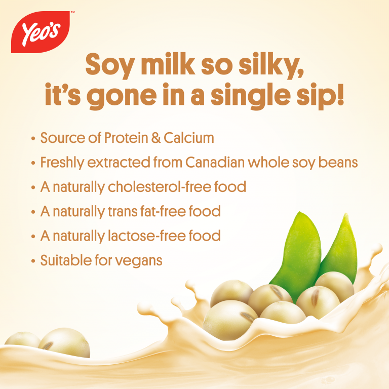 Yeo's Soy Milk Drink 10.1 fl oz (300ml) - Yeo's Online Shop