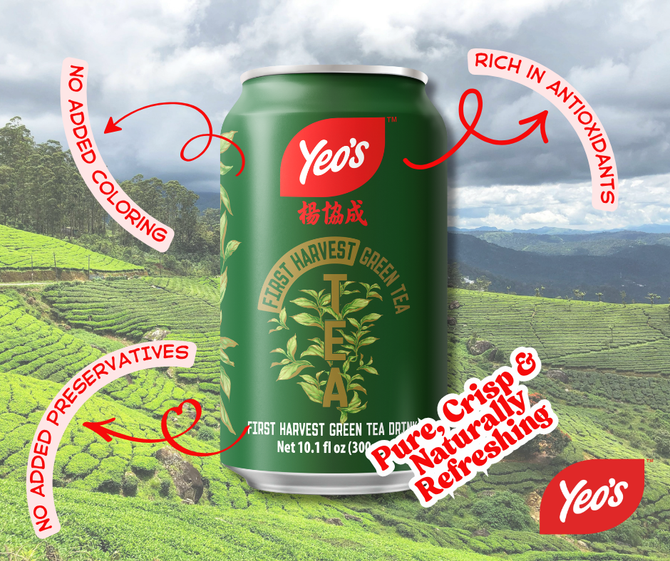 Yeo’s First Harvest Green Tea Drink 10.1 fl oz (300ml) – Pure, Fragrant, and Refreshingly Smooth