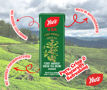 Yeo’s First Harvest Green Tea Drink 8.5 fl oz (250ml) – Freshly Brewed and Naturally Refreshing