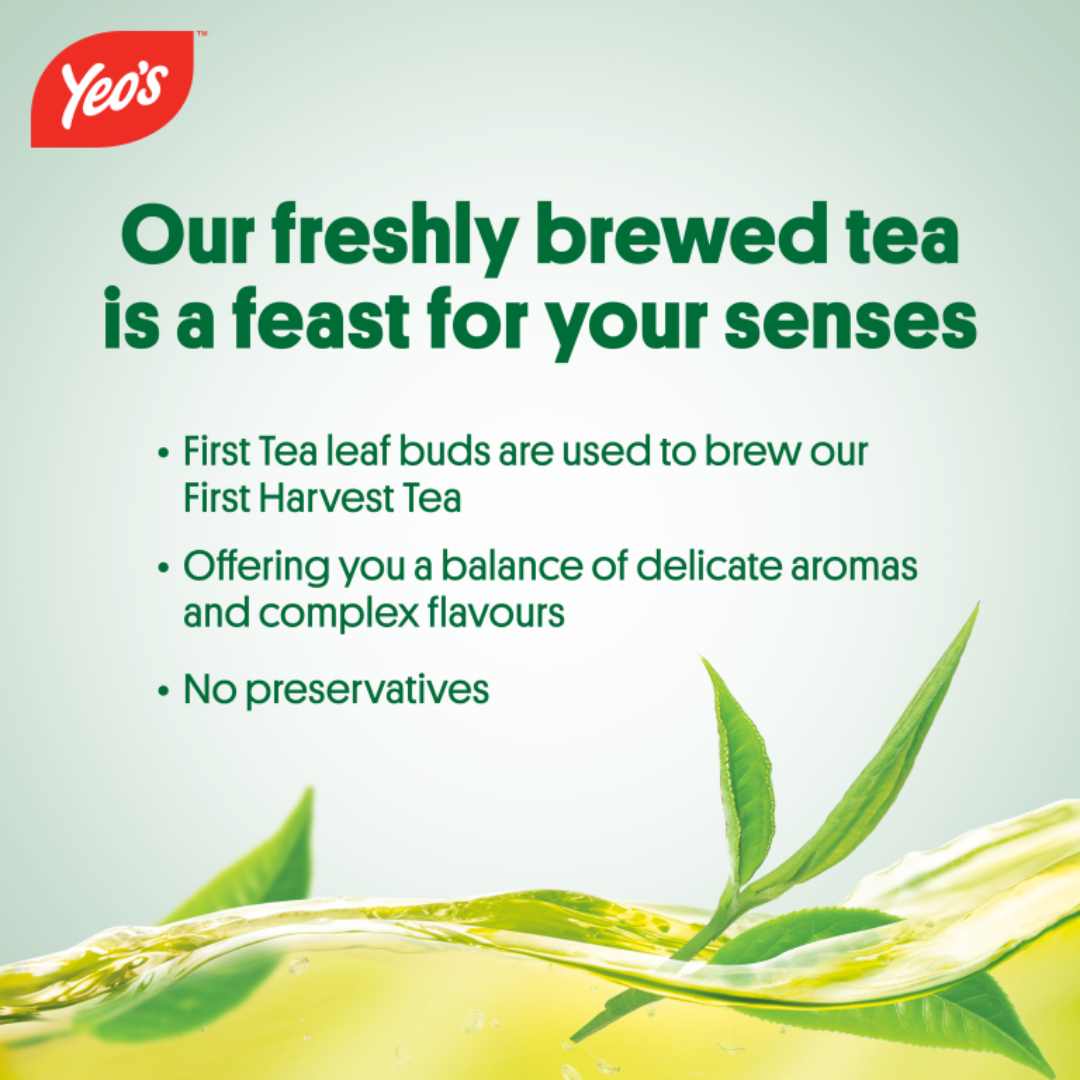 Yeo’s First Harvest Green Tea – Smooth, Aromatic, and Naturally Refreshing 250ml