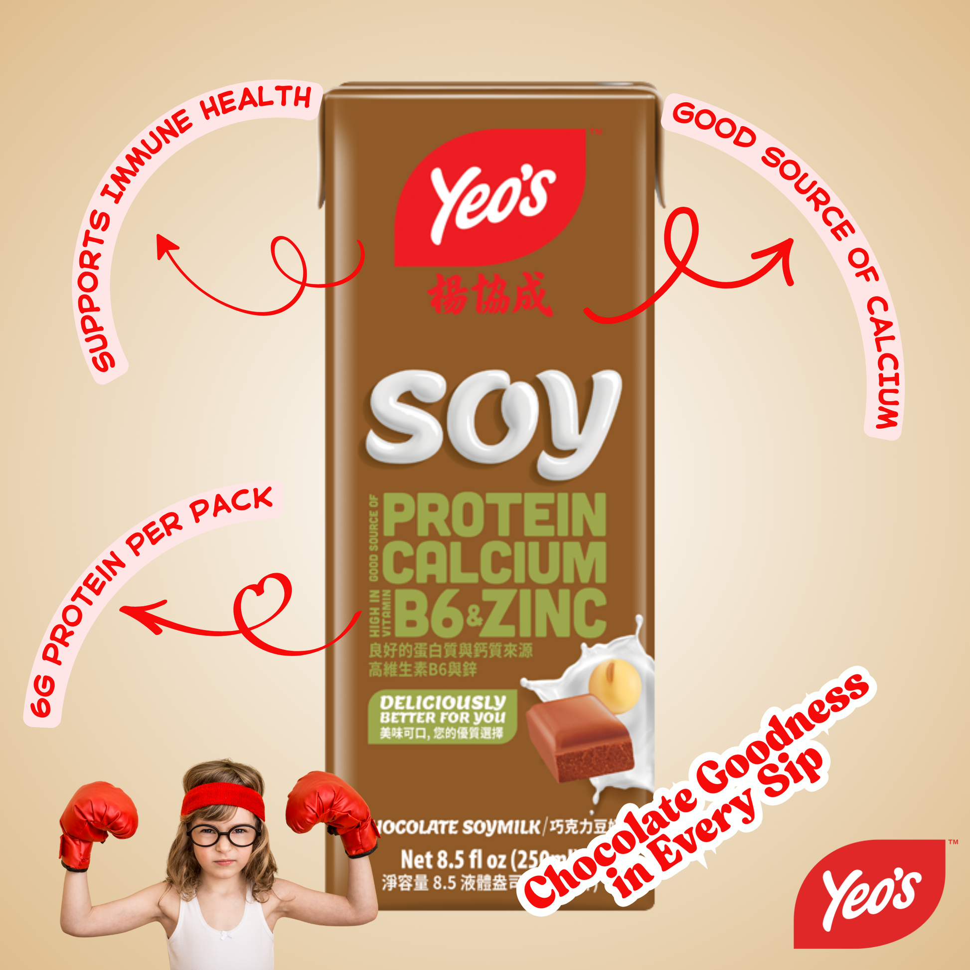 Yeo’s Chocolate Soymilk 8.5 fl oz (250ml) – Rich, Creamy, and Deliciously Nutritious - Yeo's Online Shop