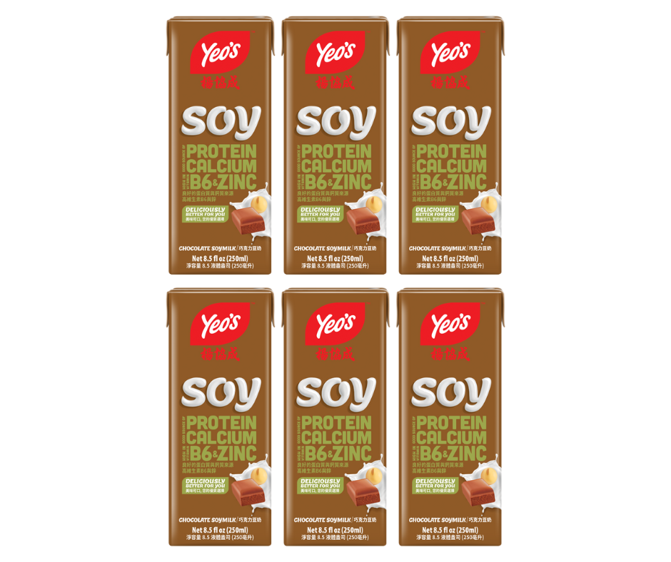 Yeo’s Chocolate Soymilk 8.5 fl oz (250ml) – Rich, Creamy, and Deliciously Nutritious