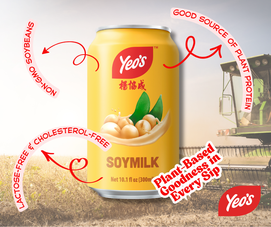 Yeo’s Soymilk 10.1 fl oz (300ml) – Classic, Creamy, and Naturally Nourishing